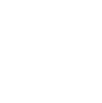 Google Light