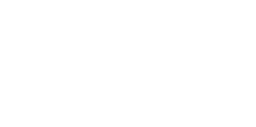 Logo Bora Logo Bora