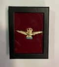 embleem R.A.F pilot badge