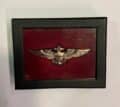 embleem U.S Navy Aviator piloten