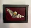 embleem luchtlandinseenheden