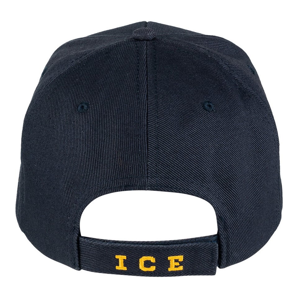 Trp Post Container Data Trp Post Id 13585 Pet Ice 8211 Immigration Amp Customs Enforcement Trp Post Container