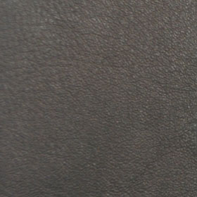Gogain Leather
