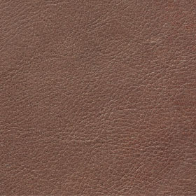 Gogain Leather Gogain Leather