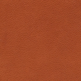 Kenya Leather