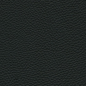 Toledo Leather