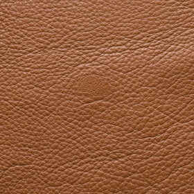 Leather Leather