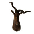 Hartenbeest