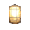 Industriele Wandlamp