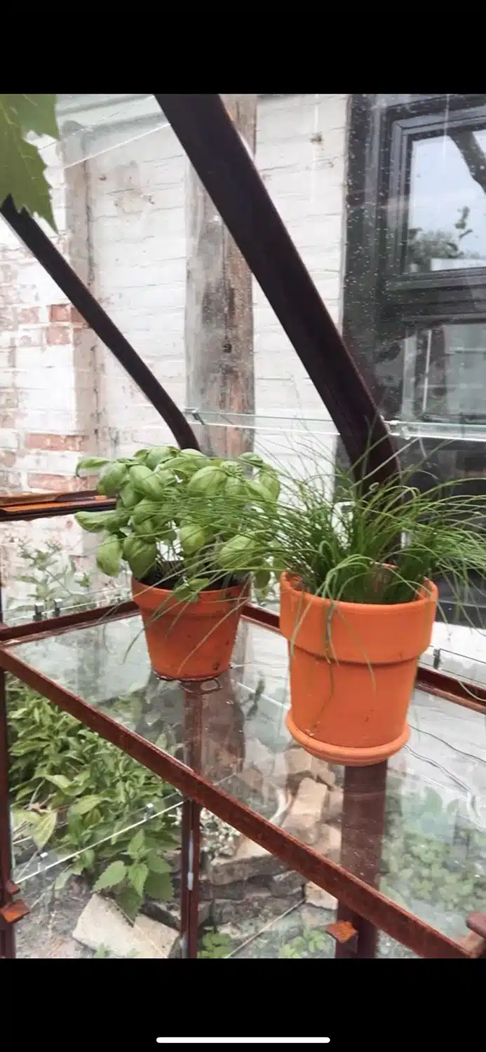 Tuinkas Jellina Detmar 8211 M