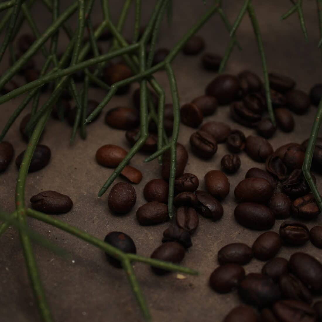 Bregt S Koffiebonen