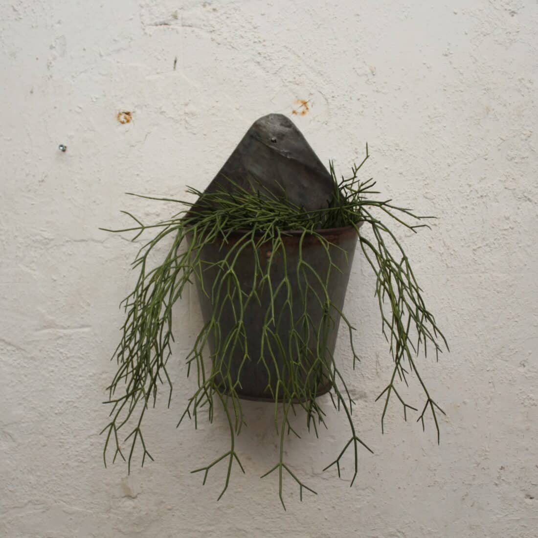 Hangende Plantenbak