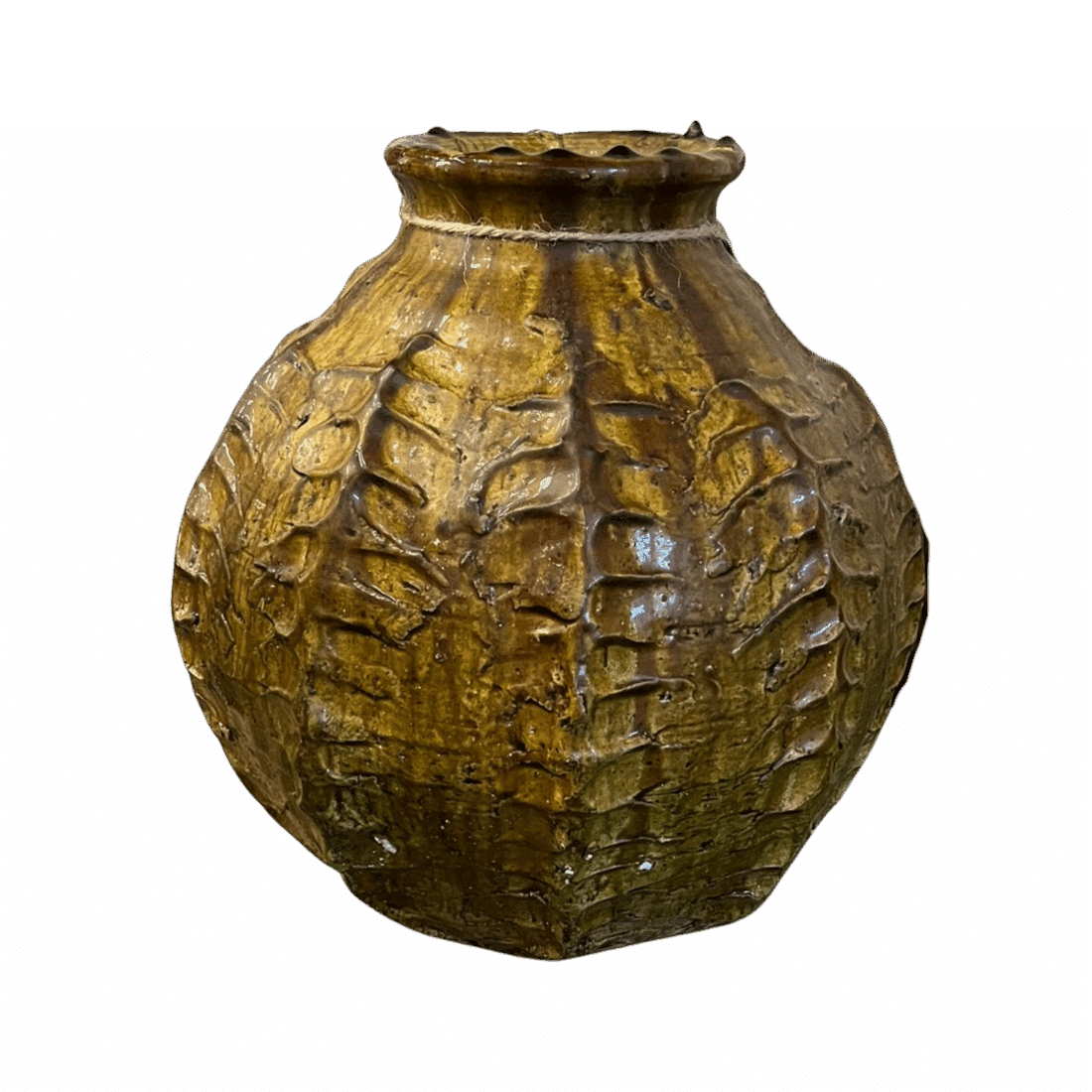 Tamegroute Cactus Vaas Groen