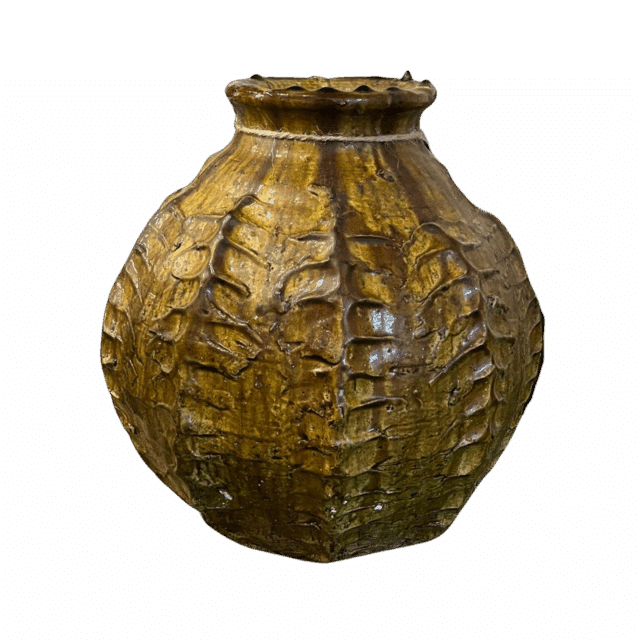 Tamegroute Cactus Vaas Groen