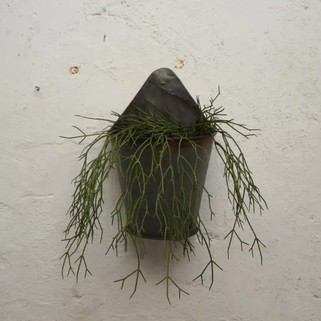 Hangende Plantenbak