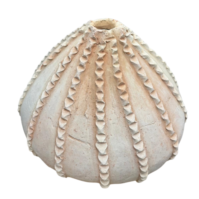 Tamegroute Pompoen Vaas Naturel