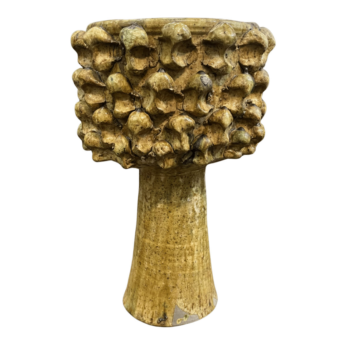 Tamegroute 16 1
