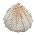 Tamegroute Pompoen vaas | naturel