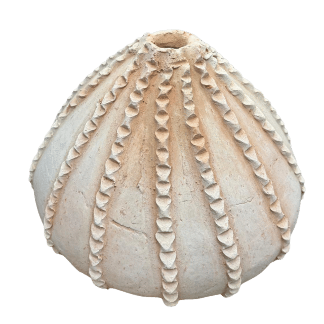 Tamegroute Pompoen Vaas Naturel