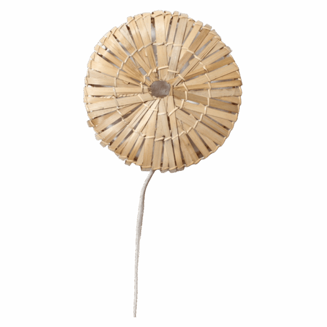 Rotan Wandlamp Rond Naturel S