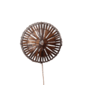 Rotan wandlamp | Sunsun bruin M