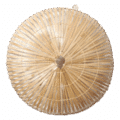Rotan wandlamp | Sunsun naturel L