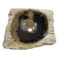 Fossiel houten wasbak zwart | 22764