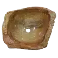 Fossiel houten wasbak naturel | 22765