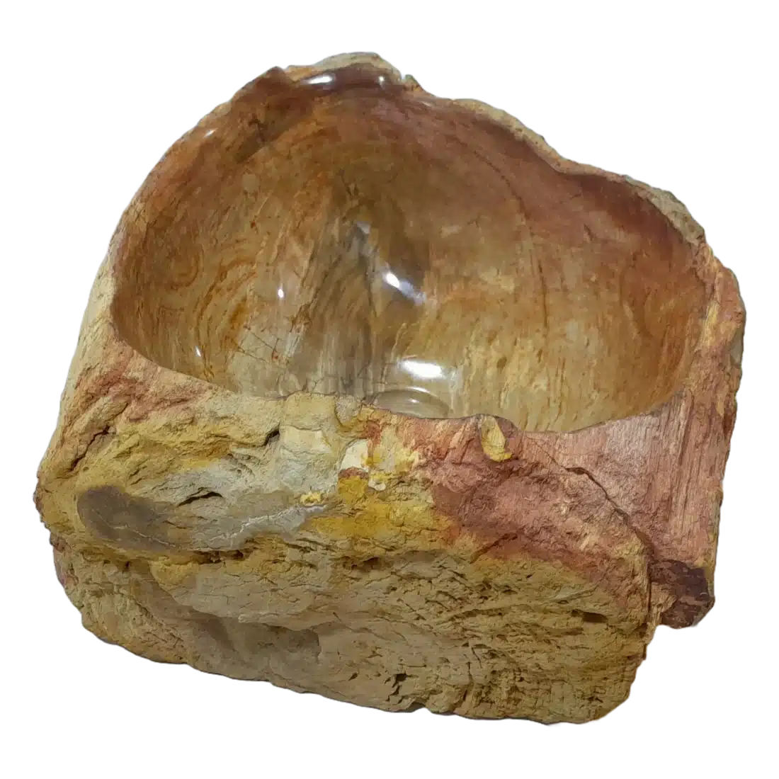 Fossiel Houten Wasbak Naturel 22765 Fossiel Houten Wasbak Naturel 22765