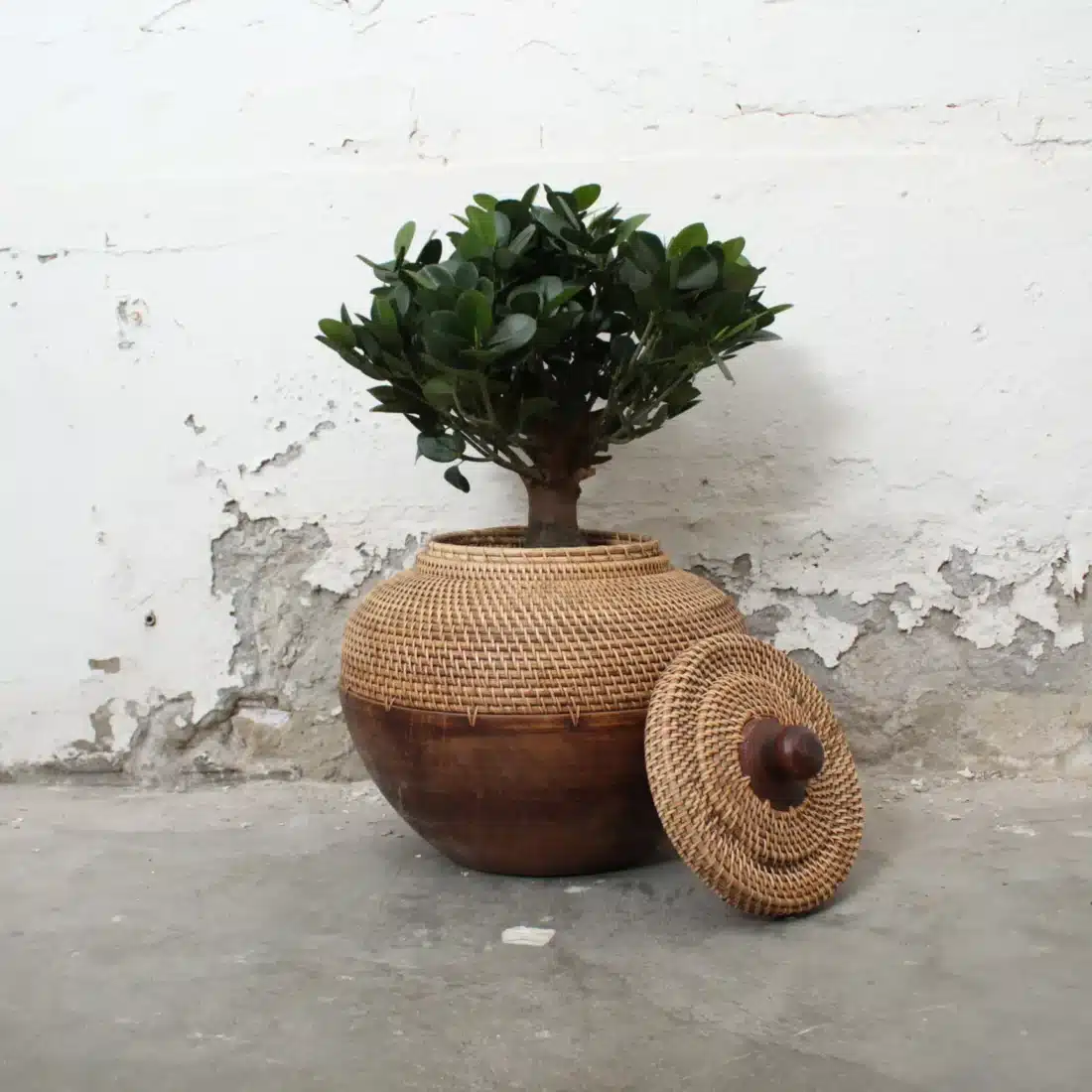 Rotan Vaas Met Deksel Rotan Vaas Met Deksel