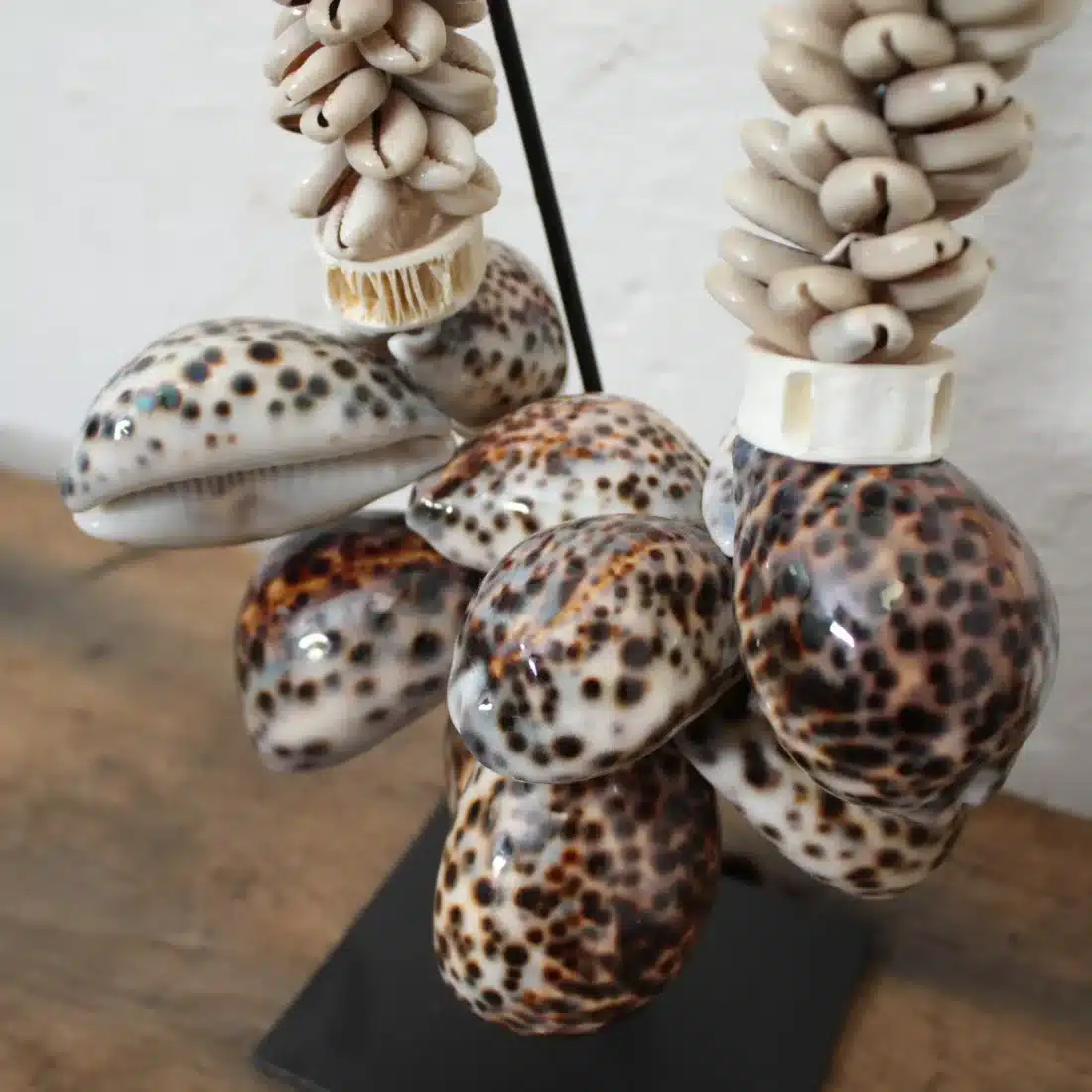 Schelpenketting Op Standaard Wit Bruin Schelpenketting Op Standaard Wit Bruin