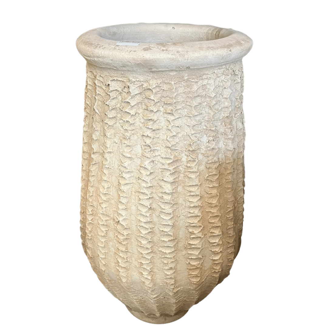 Tamegroute Cactus Pot Naturel Tamegroute Cactus Pot Naturel