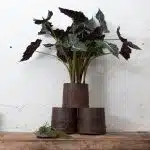 Robuuste Plantenbak