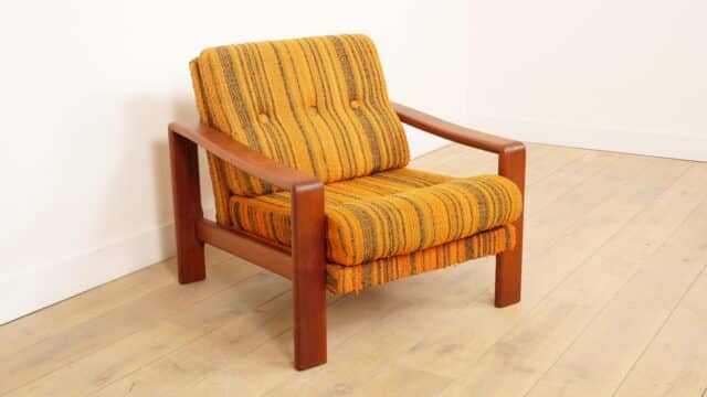 Fauteuil Lounge Vintage Teck Retro