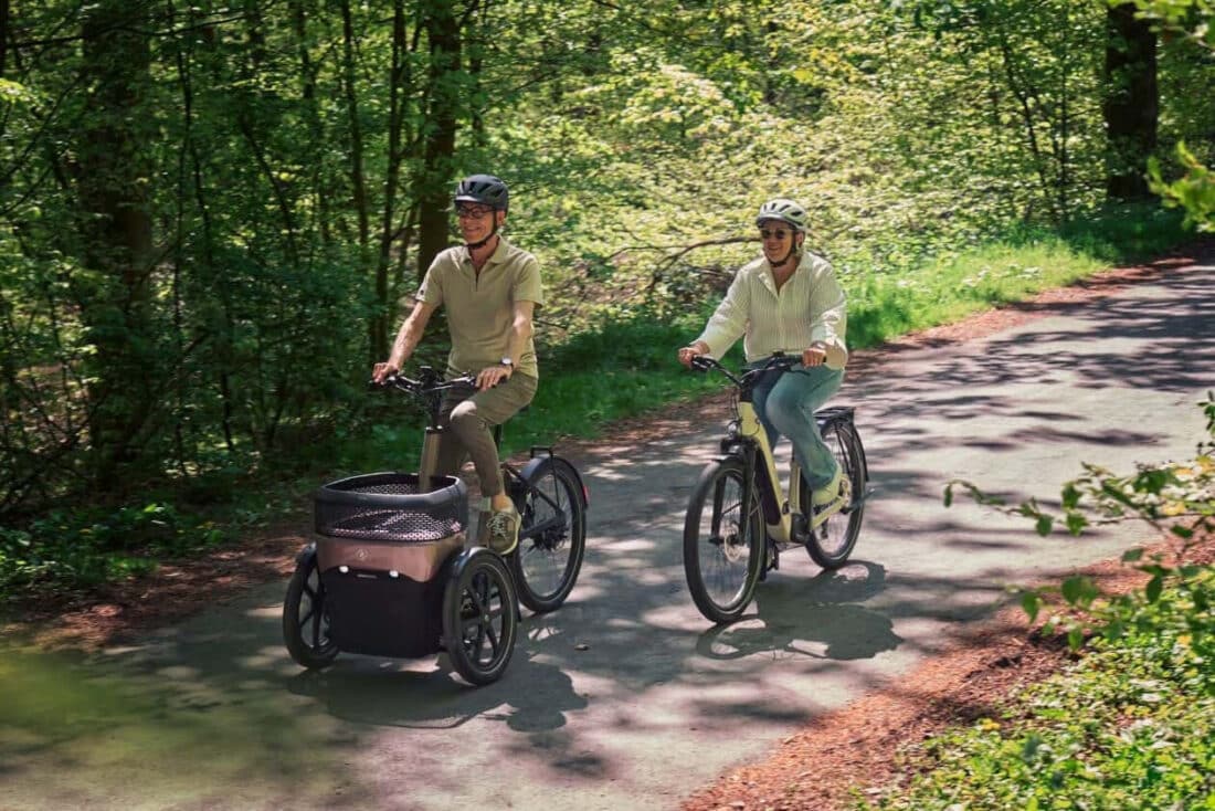 Van Raam Thuja Elektrische Driewielfiets