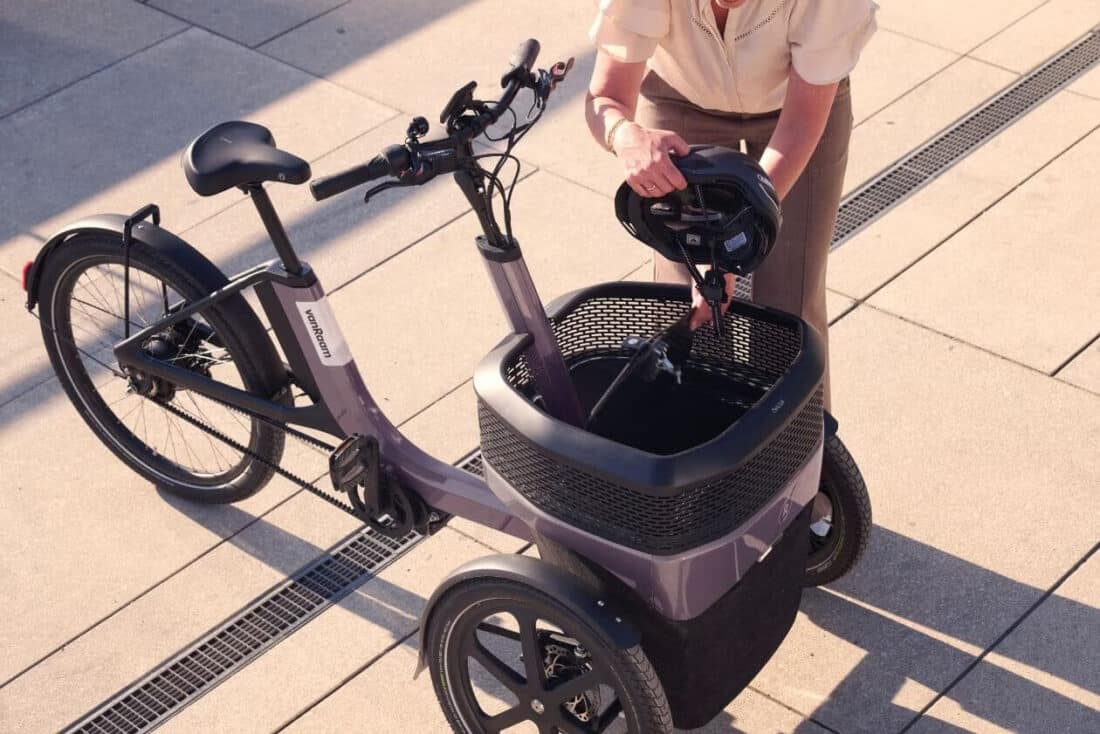 Van Raam Thuja Elektrische Driewielfiets