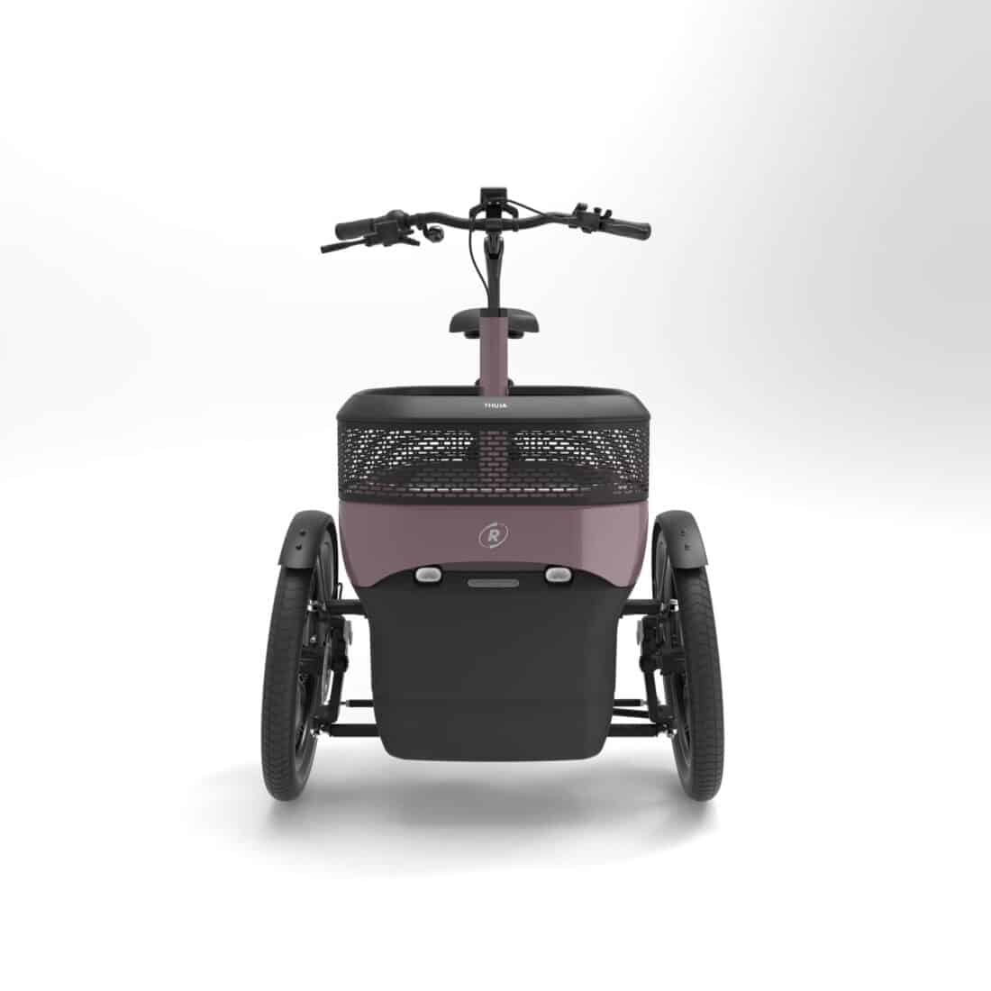 Van Raam Thuja Elektrische Driewielfiets