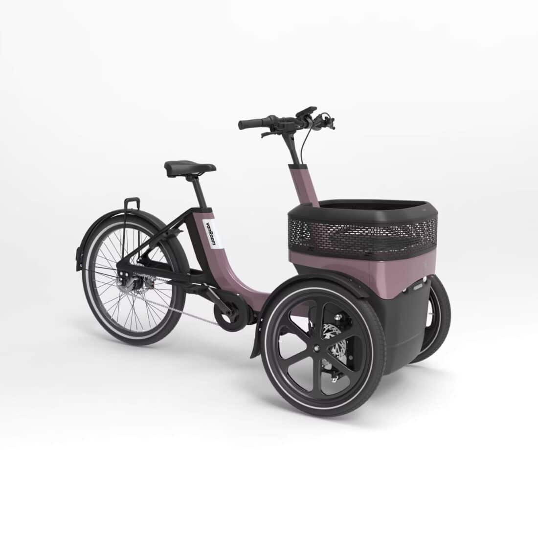 Van Raam Thuja Elektrische Driewielfiets