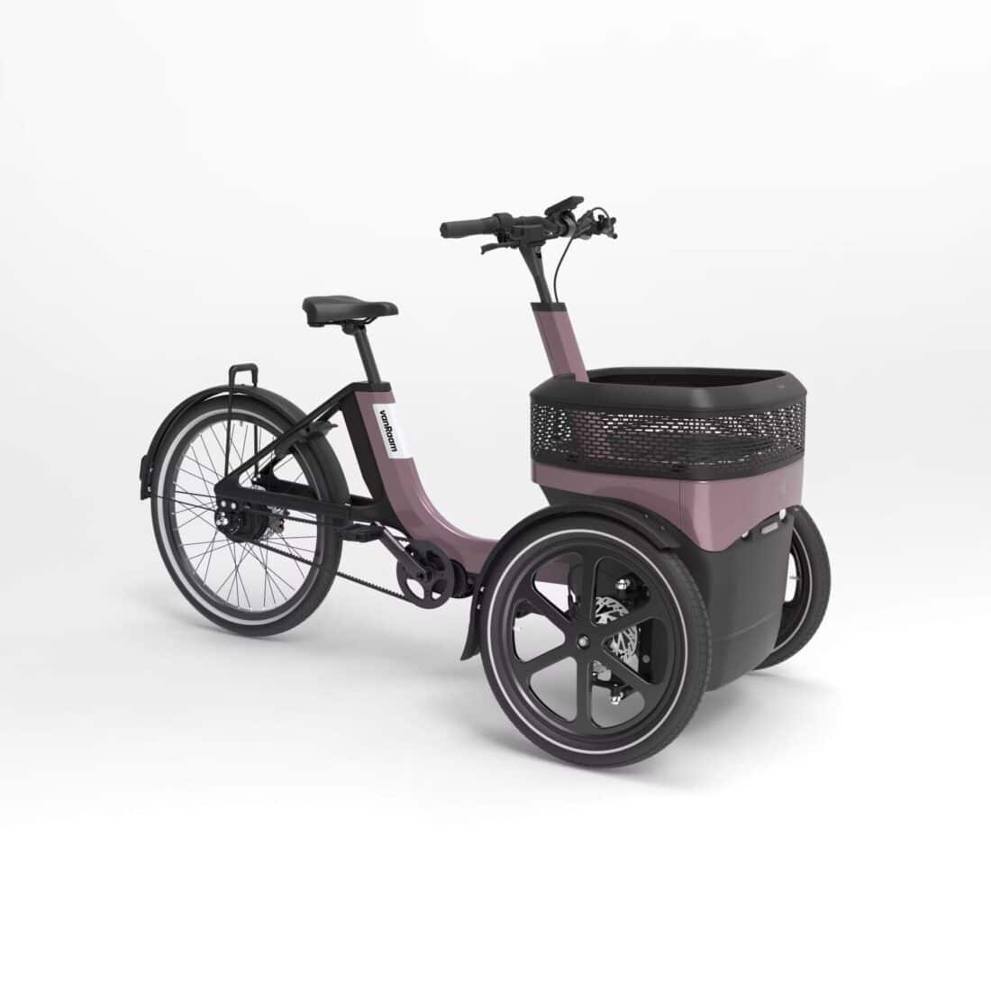 Van Raam Thuja Elektrische Driewielfiets