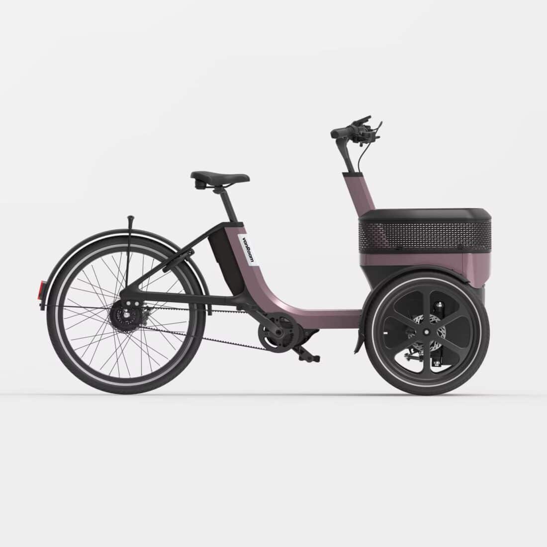 Van Raam Thuja Elektrische Driewielfiets