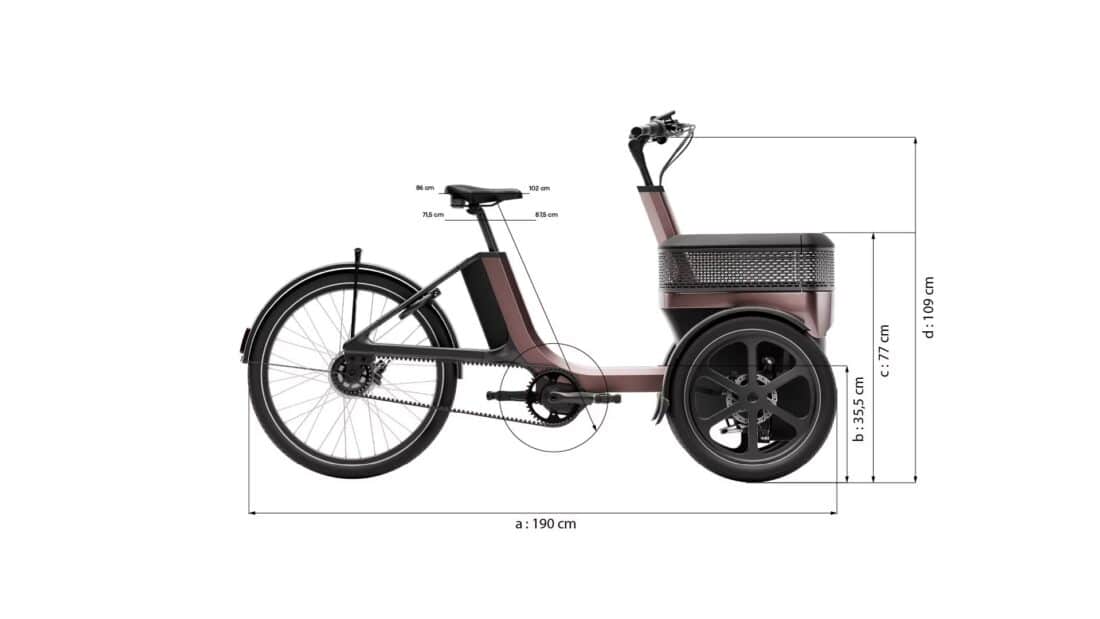Van Raam Thuja Elektrische Driewielfiets