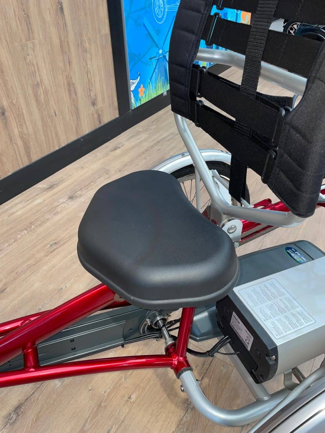 Van Raam Easy Rider 2 8211 Gebruikt Van Raam Easy Rider 2 8211 Gebruikt