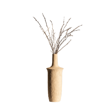 Vaas Cacicus Small
