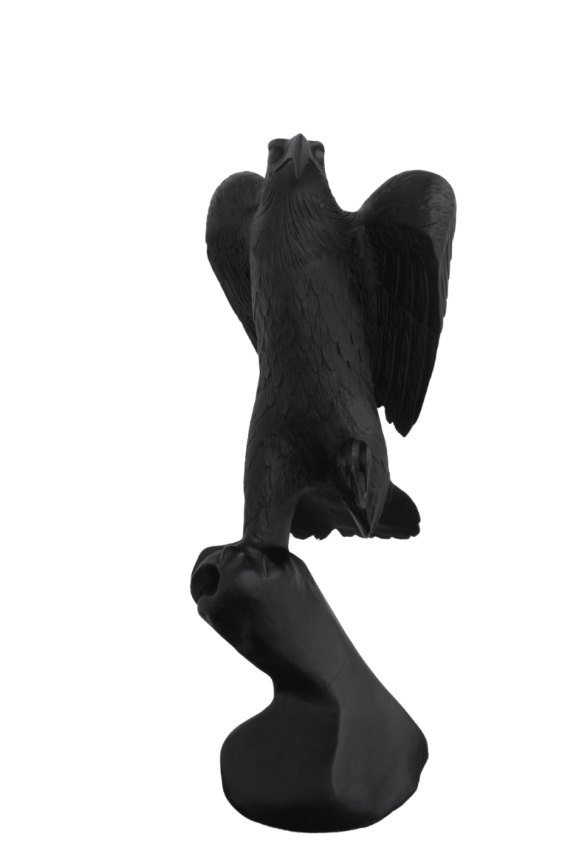 zwarte adelaar