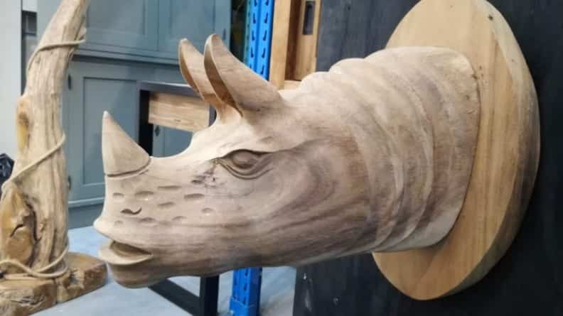 Head Of Rhino 40x30x40h E75 1
