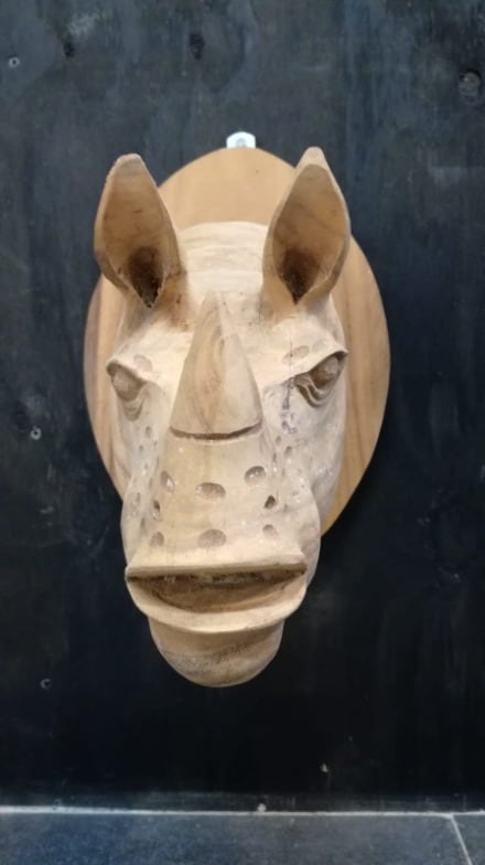 Head Of Rhino 40x30x40h E75 3