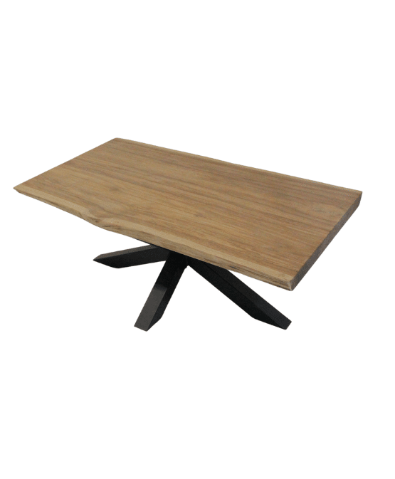 boomstamtafel