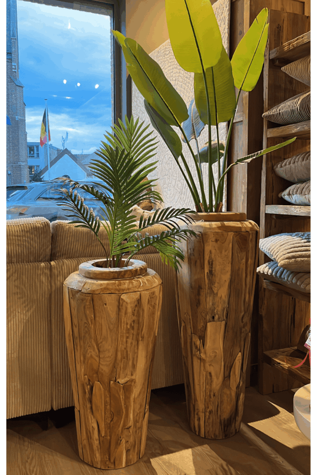 wortel teak vaas