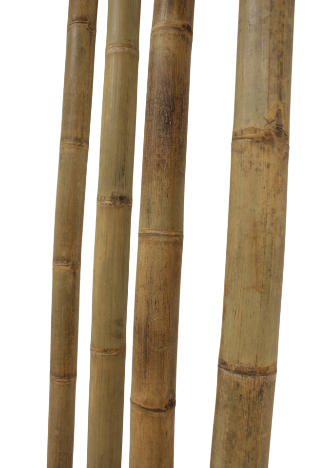BAMBOE PALEN