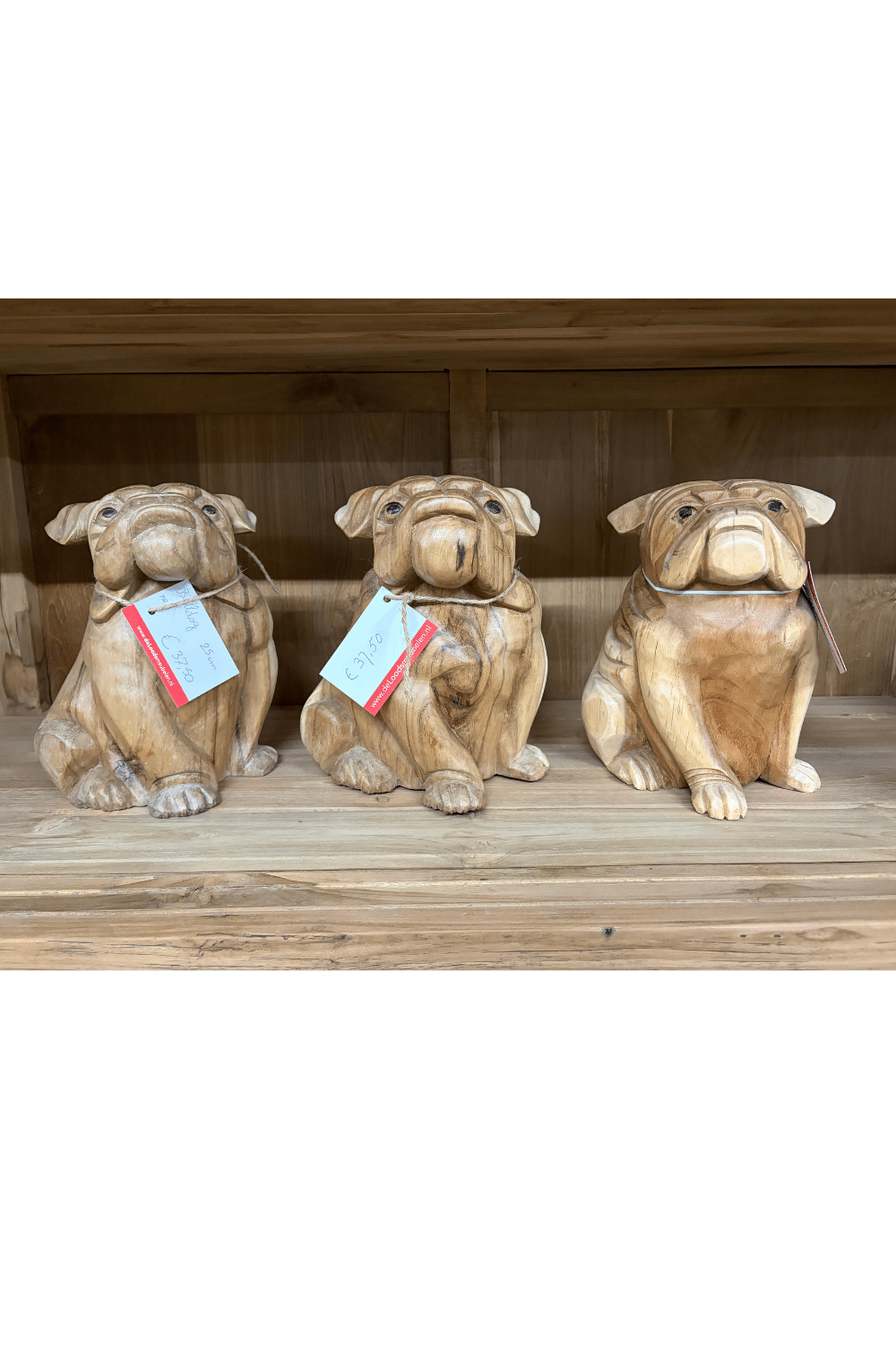 houten engelse bulldog beeld 20x26 cm